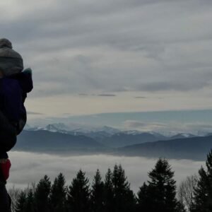 Home Cream to Foam Lotion