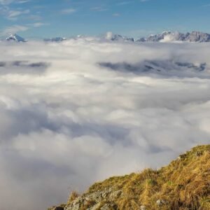 Home Balancing Daily Cleanser